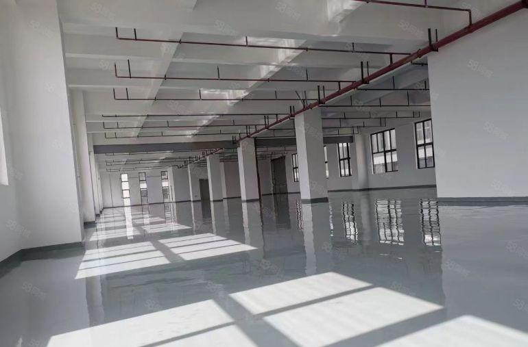 大岭山全新红本标准厂房，高度8米，1公里高速口，