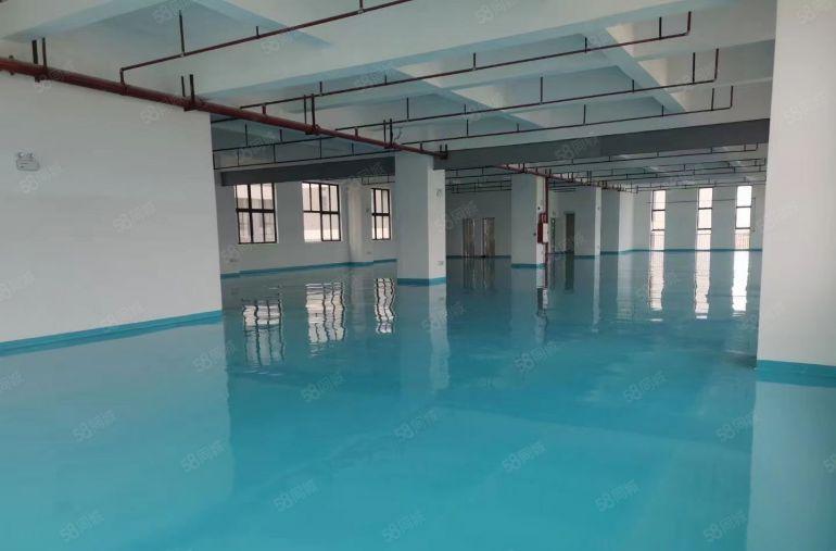 大岭山全新红本标准厂房，高度8米，1公里高速口，