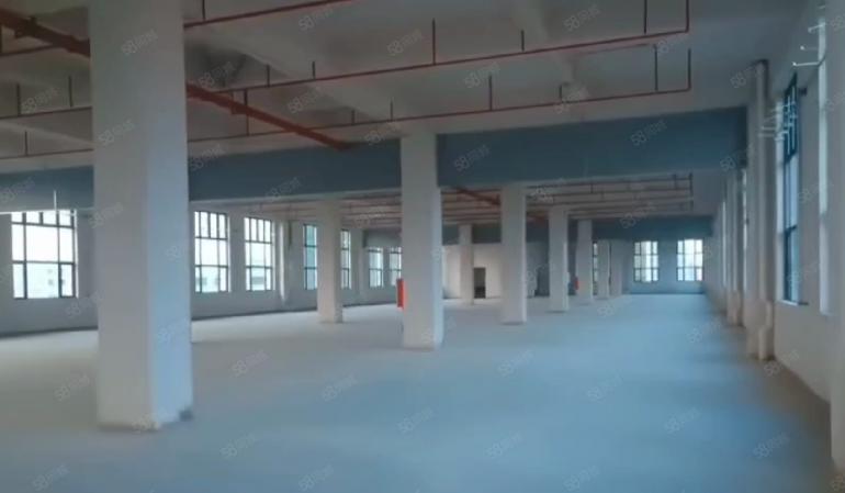 大岭山龙大高速口附近 全新厂房出租 带装修 超低价