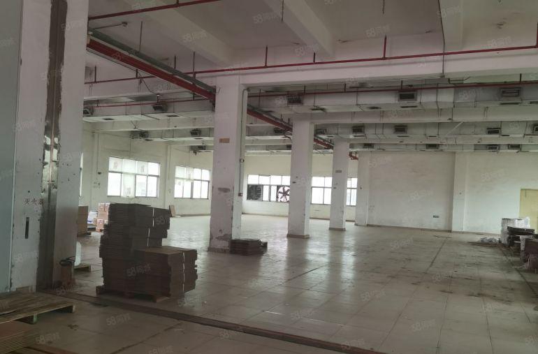 石碣工业园区独院 一楼和四楼出租 租金便宜