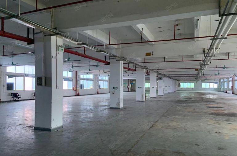 石碣镇工业区一楼低价出租1000方有现成装修水电齐全独立