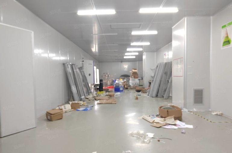 低价清溪青湖工业区标准一楼厂房出租2800平实际面积可分租