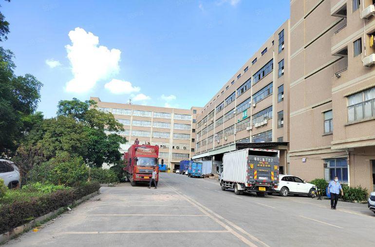 200平起租 清溪大利村红本厂房1000平方 低价厂房出租