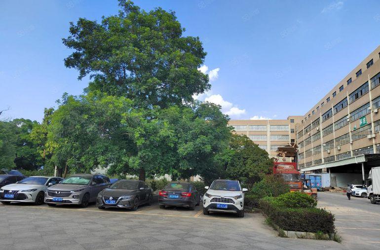 200平起租 清溪三中全新红本厂房1000平方低价出租