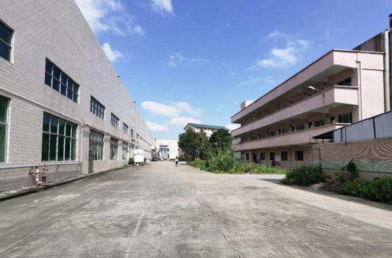 清溪高速口单一层钢结构2900平滴水11米低价厂房出租