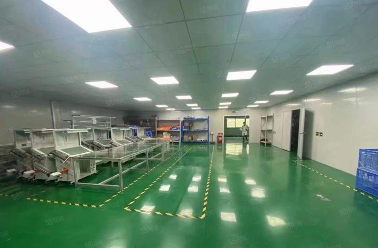 10元可谈清溪原房东独院厂房1280平豪华装修无尘车间可分租