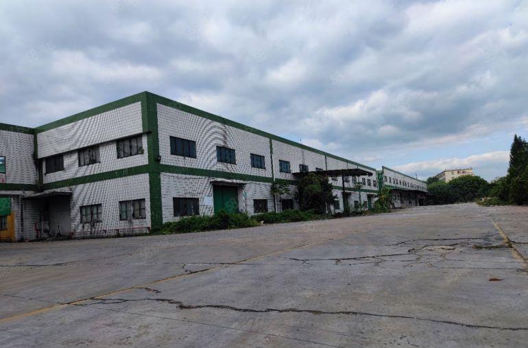 清溪大利新出原房东滴水10米单一层低价厂房出租可分租