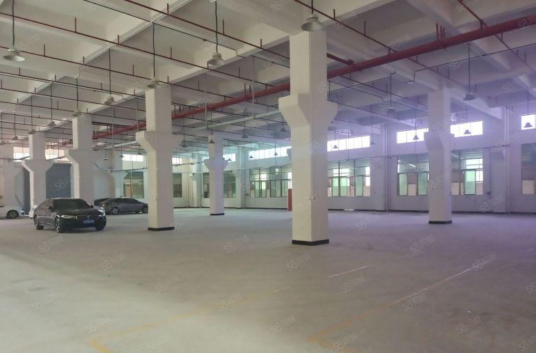 清溪三中一楼1680平19块钱带牛角全新厂房出租工业用地