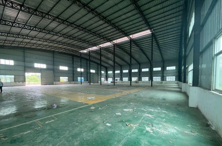 清溪镇独院厂房出租三中钢钩低价厂房，超大空地水电过户工业用地