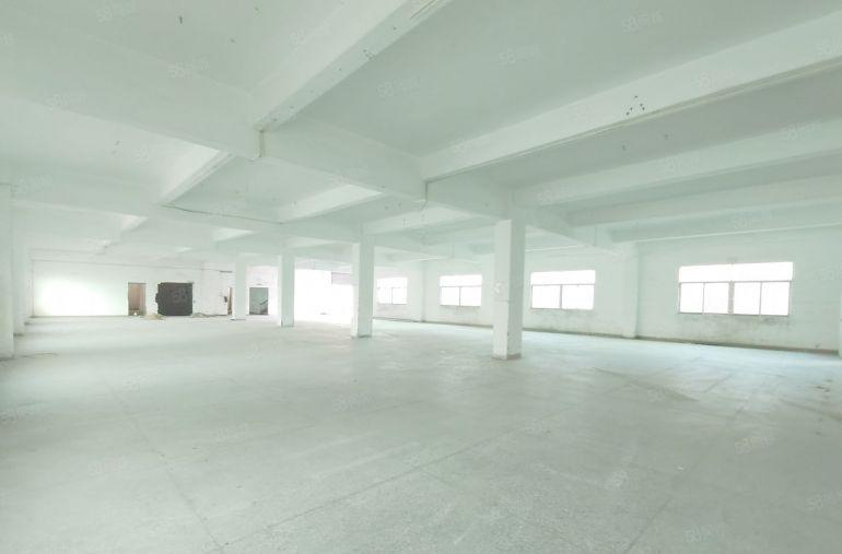 清溪三中清凤大道旁原房东独院5000平厂房出租可分租