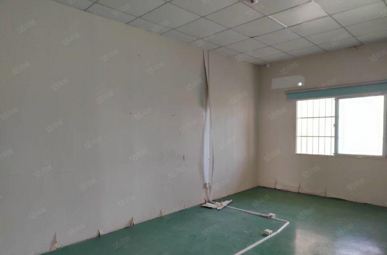 清溪大利村 原房东楼上300平低价厂房出租 带现成豪华装修