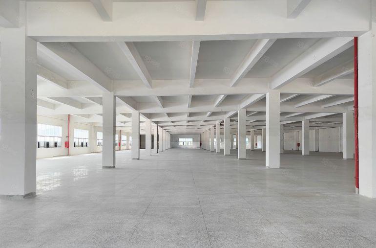 清溪大利新出标准一楼1000平低价厂房出租可分租