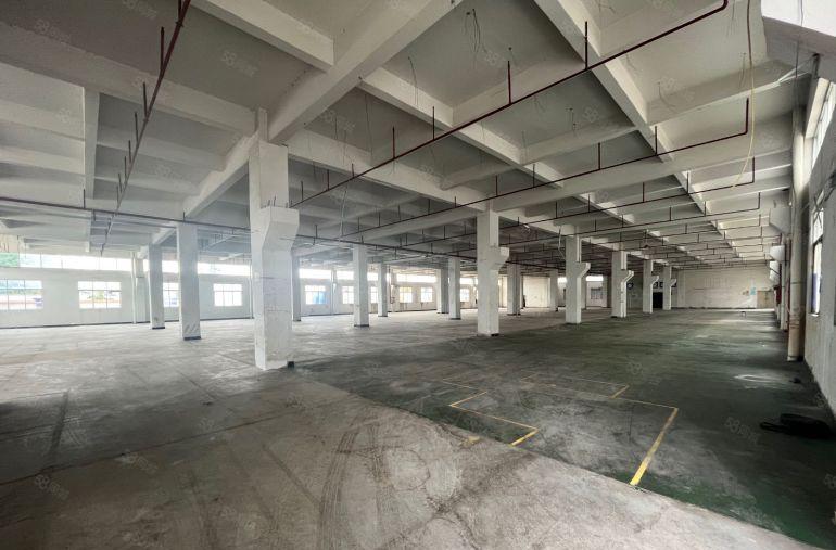 清溪三中原房东独院厂房出租一楼11块每平方，免租期超长