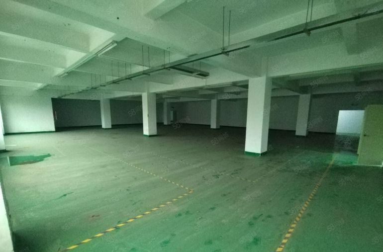 原房东四楼800平标准厂房低价出租