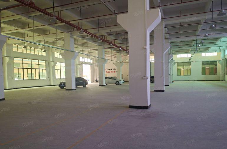 清溪三中一楼1680平19块钱带牛角全新厂房出租工业用地