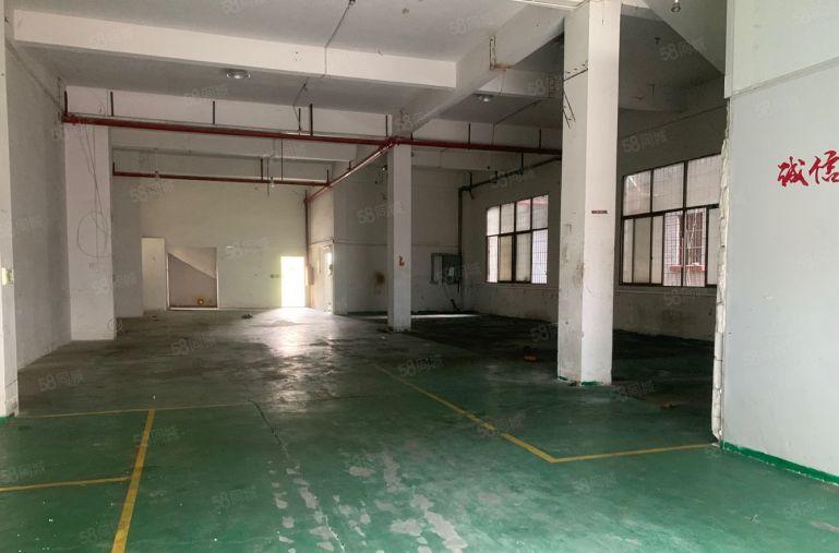 横沥镇原房东标准一楼6米高400平厂房仓库出租，租金15