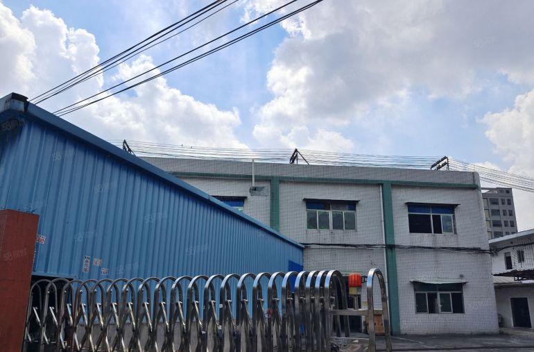 横沥镇原房东经典小独院2000平方标准厂房低价出租，交通便利