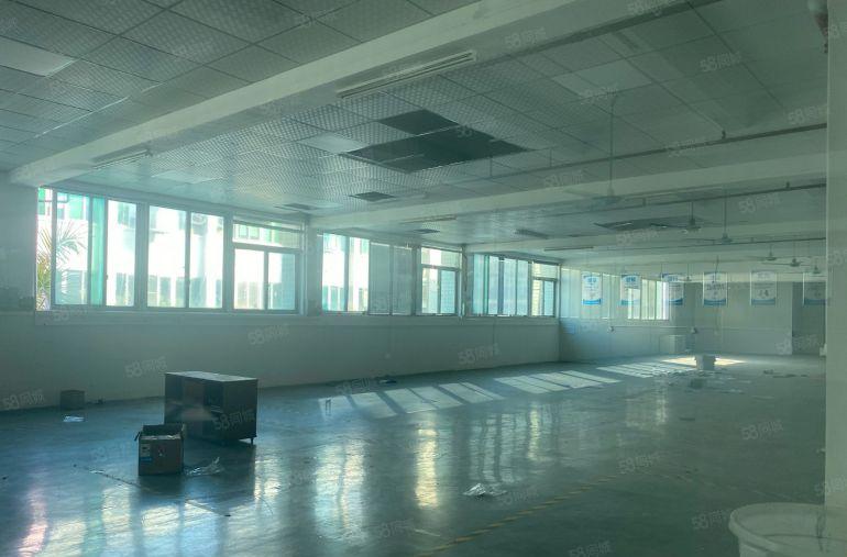 横沥低价厂房出租13块独门独院空地大标准厂房5800