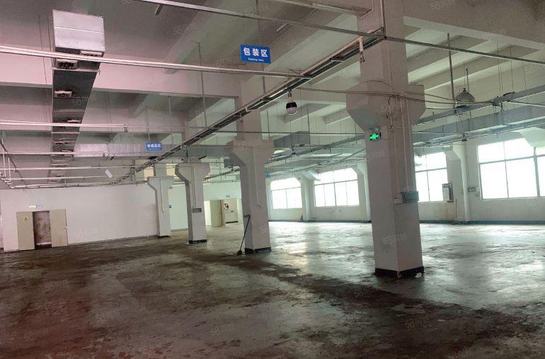 横沥镇工业区内原房东精装修一楼厂房低价出租