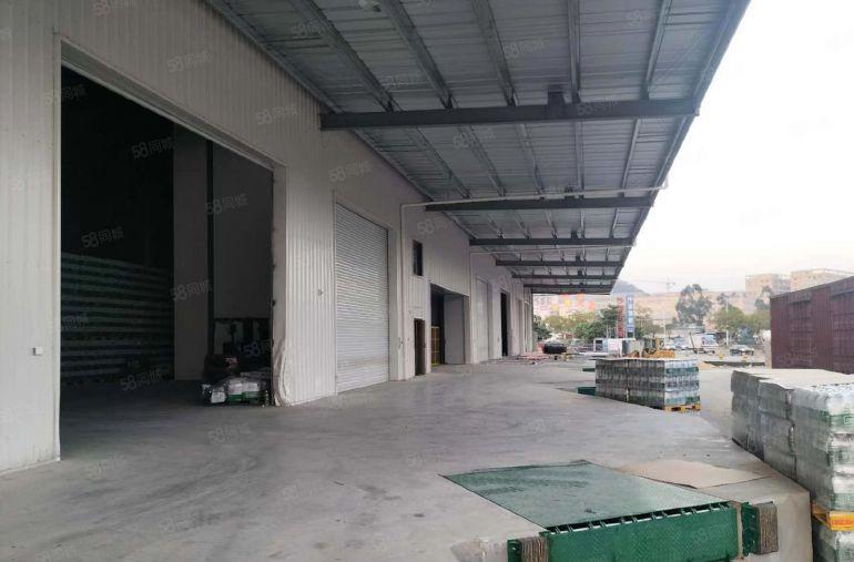 麻涌新沙港京东亚一仓库旁高台仓库出租
