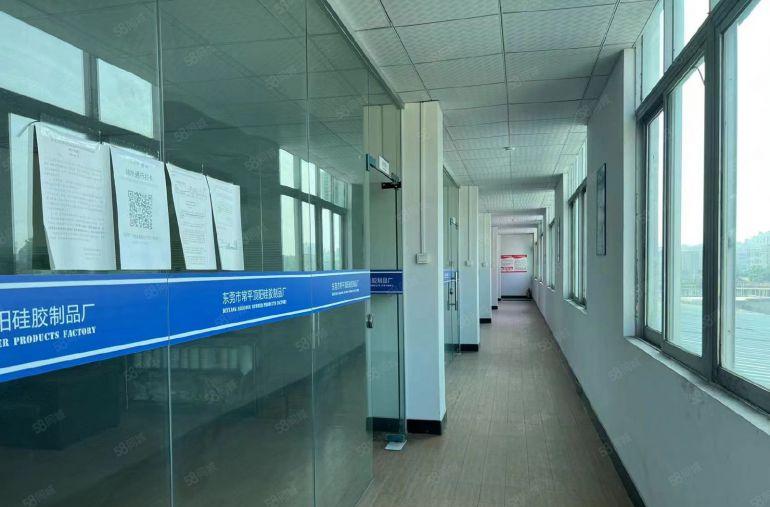 （出租）8元价格可谈桥头原房东单一层3000平滴水12米带航