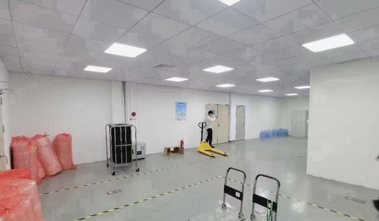 8元价格可谈原房东桥头常平1000平方精装修厂房可分租