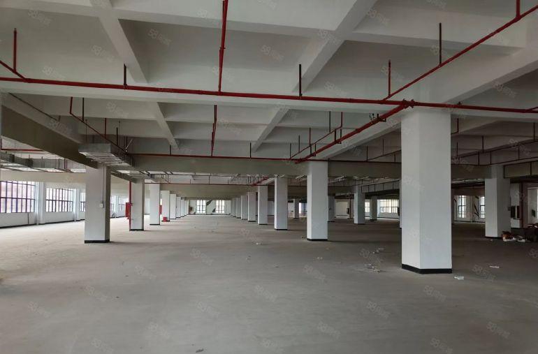 桥头镇 原房东1000平方起分 上市公司形象 带红本工业用地