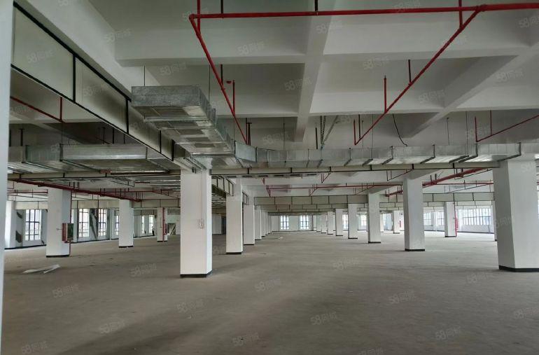 桥头镇 原房东1000平方起分 上市公司形象 带红本工业用地