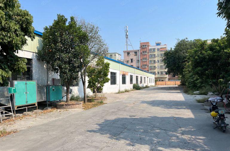 桥头靠近惠州新出底价出租单一钢结构2500平米，超大空地