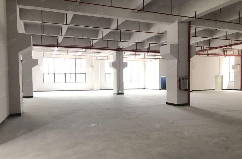 东坑原房东一楼5700平层高7.8米带牛角重工业厂房出租