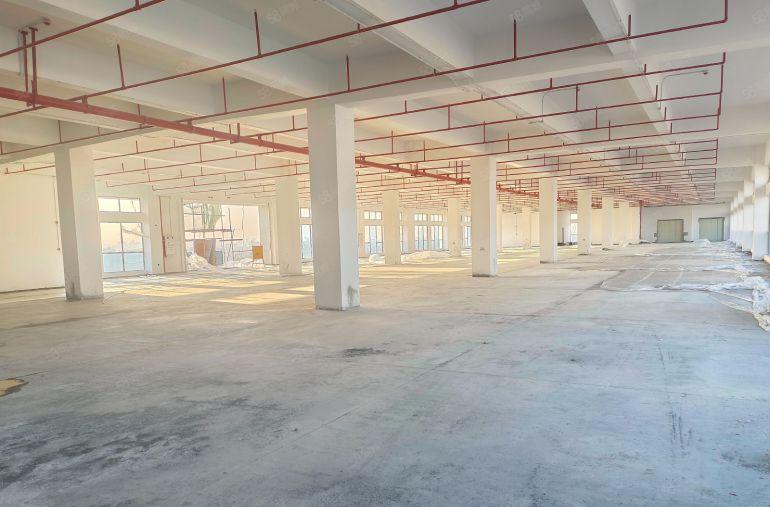 东坑角色原房东一楼2400平七米高红本厂房出租