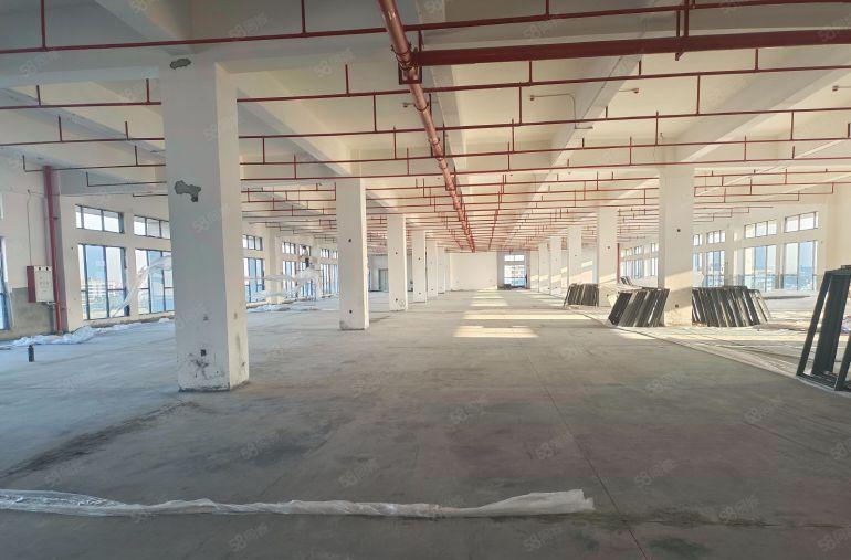 东坑角色原房东一楼2400平七米高红本厂房出租