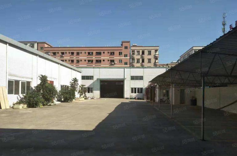 东坑 坑美 独院厂房 出租，单一层 钢构 3000平方