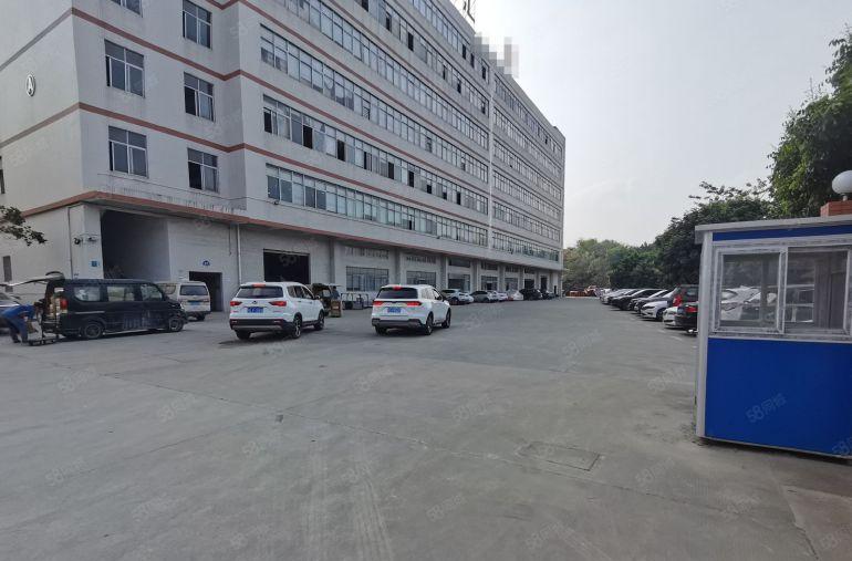 两百平起租原房东7元道滘洪梅望牛墩3千平尾盘一楼仓库厂房出租