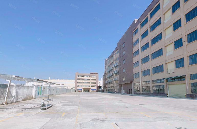 茶山原房东实际面积5万平方上市红本厂房出租