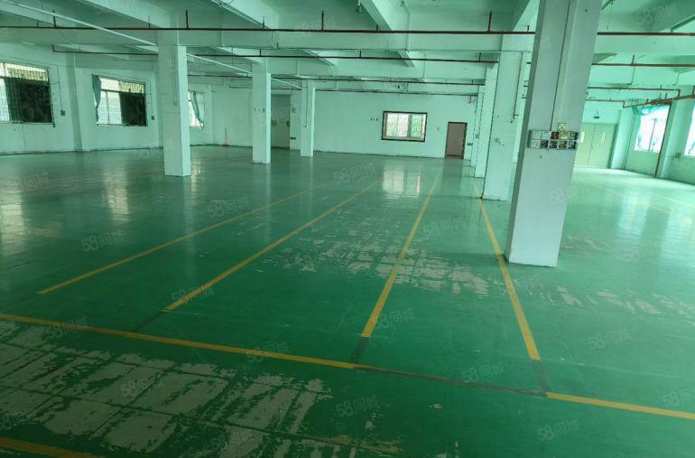 茶山镇原房东厂房一楼出租。面积500平方