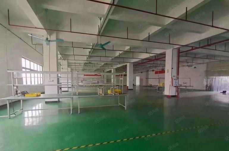 厂房出租 茶山镇工业园标准厂房分租二楼5000平方7米高