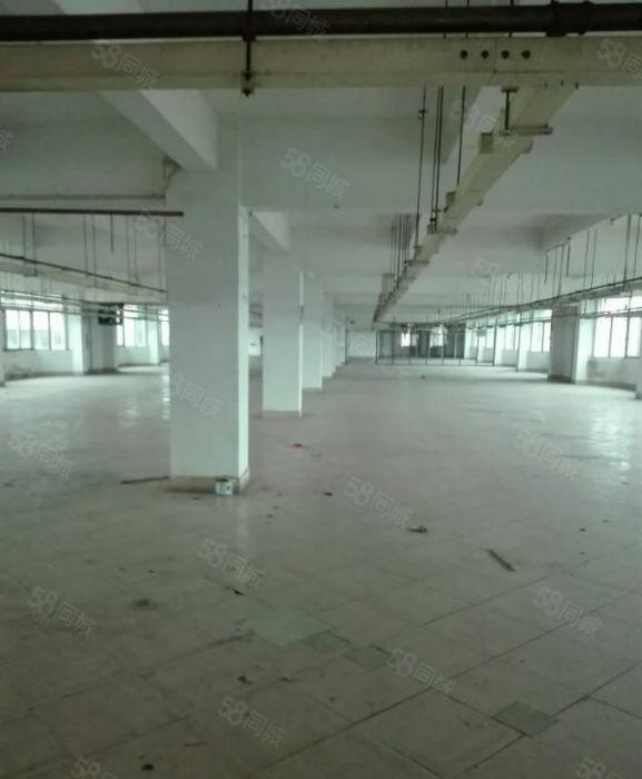 茶山镇厂房出租 标准厂房分租楼上1000平方 九成新