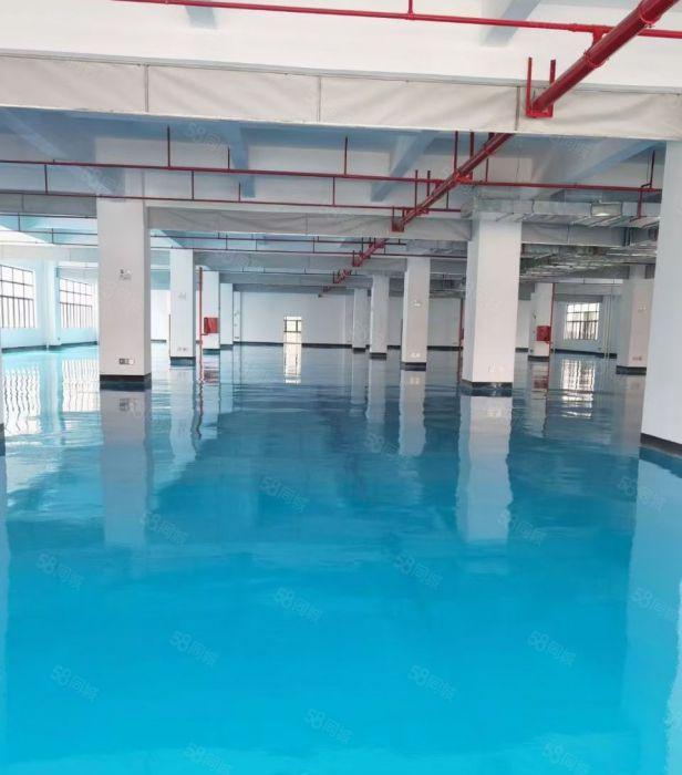 小区式厂房分租。2000方起分。价格10元起。面积可实量