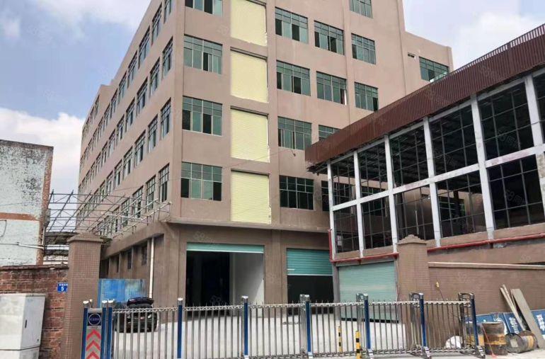 茶山镇厂房出租 标准厂房分租楼上1000平方 九成新