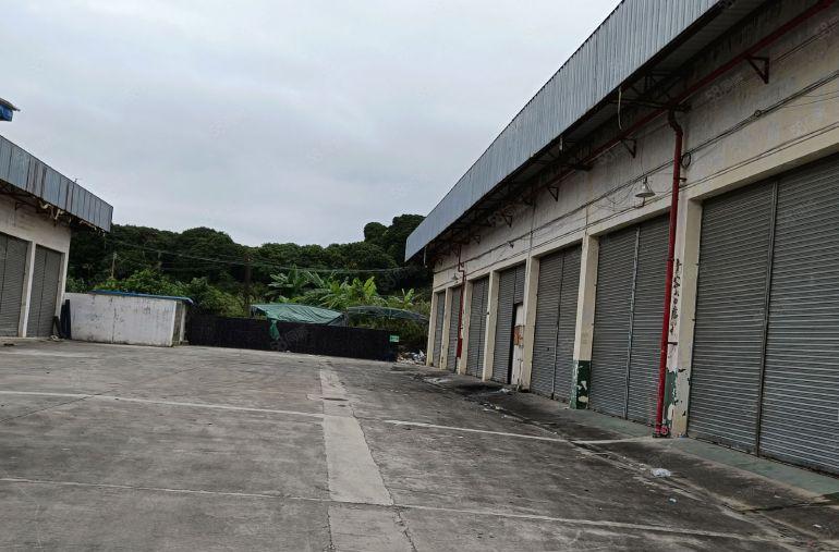 东莞市茶山镇单一层小独院低价急租，厂房高度9米，空地3000