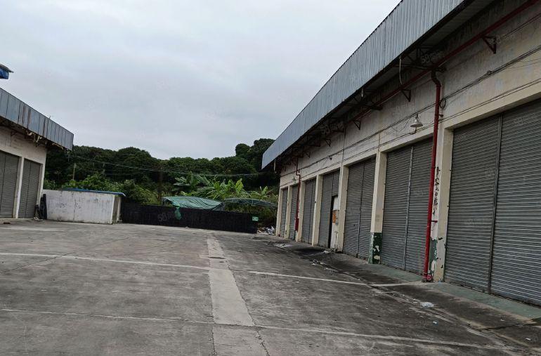 东莞市茶山镇单一层小独院低价急租，厂房高度9米，空地3000
