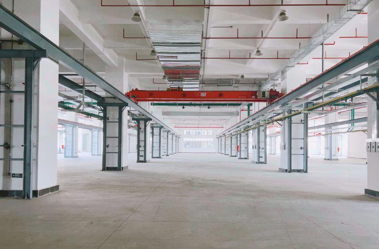 茶山原房东实际面积5万平方上市红本厂房出租