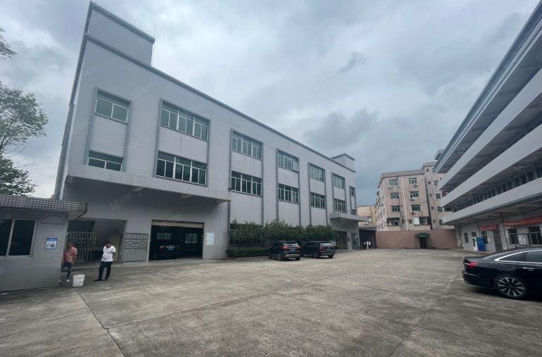 茶山镇独门独院厂房出租原房东低价出租空地超大工业用地交通便利