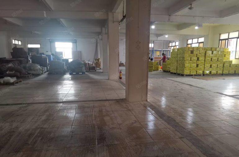 茶山厂房出租 茶山原房东独门独院三层厂房总面积4000平方