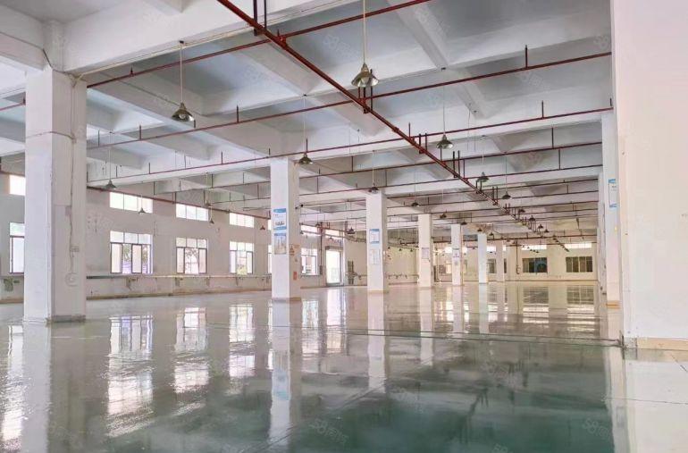 石排下沙工业区分租楼上标准厂房低价出租