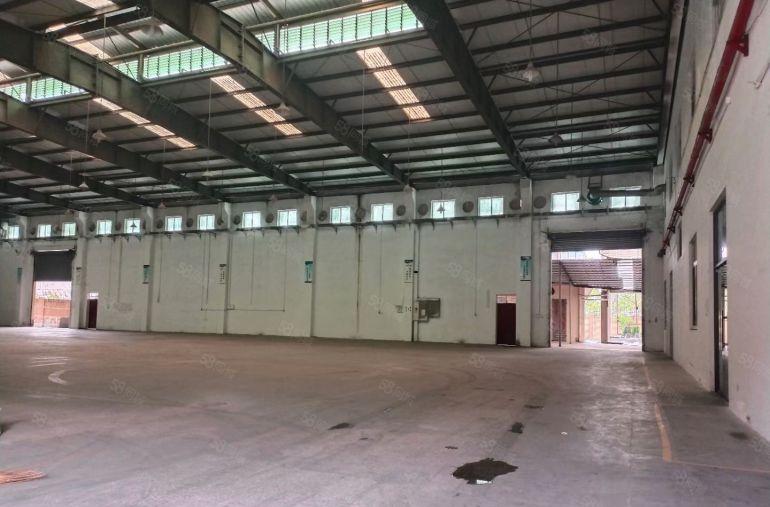 石排镇单一层厂房出租1500平方 8米高，带牛角。周边无居民