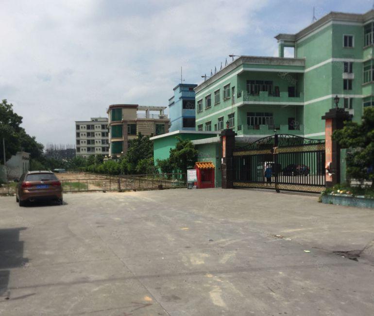 石排石崇工业区原房东标准厂房低价出租可分租