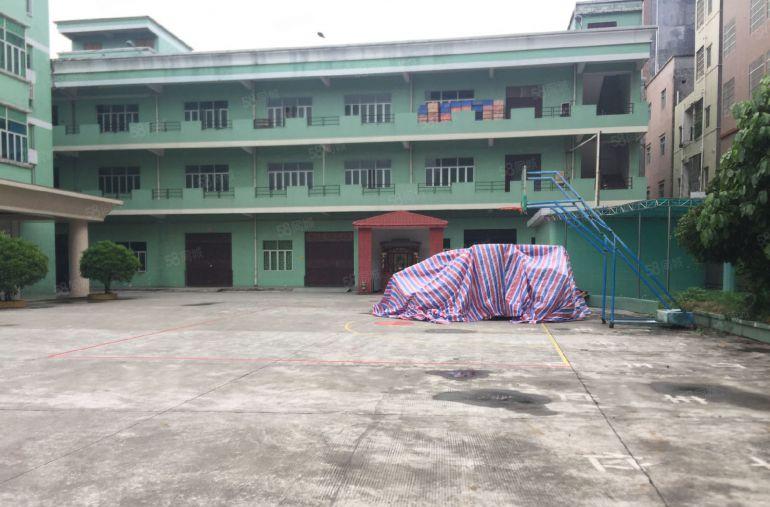 石排石崇工业区原房东标准厂房低价出租可分租