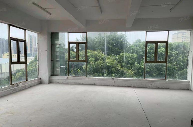 中堂江南标准厂房和钢构滴水10米厂房出租